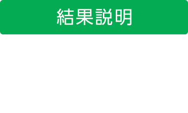 結果説明